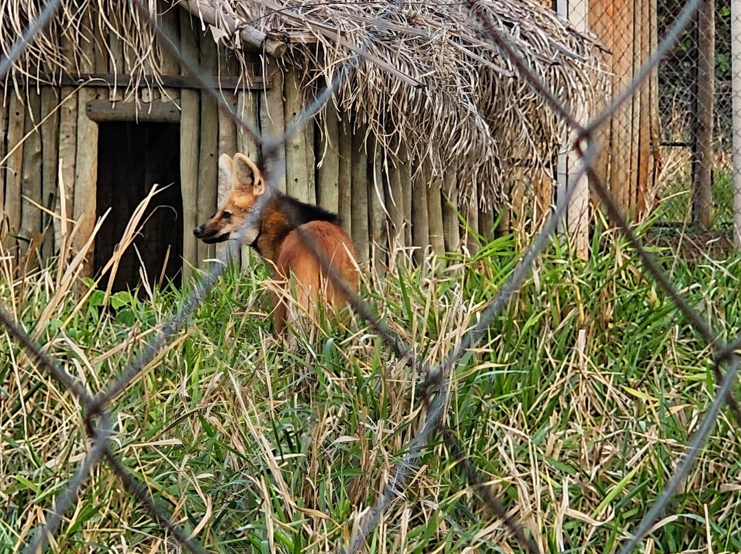 Bio Park-博尼图必去景点