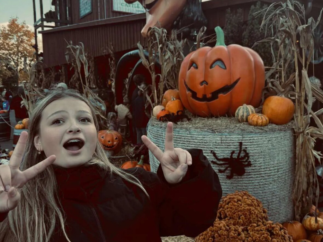 Djurs Sommerland-Nimtofte必去景点