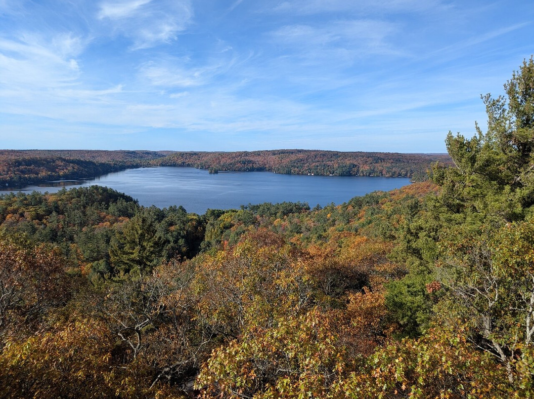 Dorset Scenic Lookout Tower-Dorset必去景点