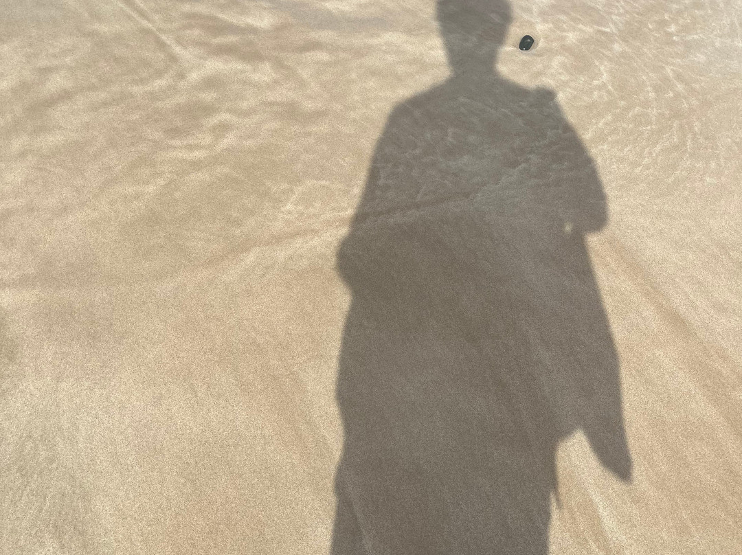 Apollo Bay Beach-阿波罗湾必去景点