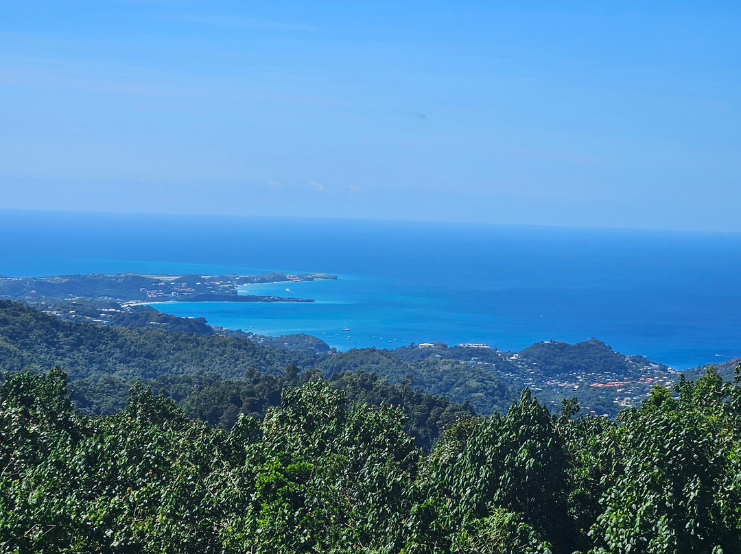 Grand Etang Lake-Grand Etang National Park必去景点