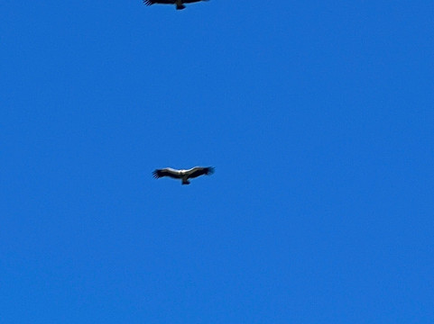 Base Camp Hike-加德满都必去景点