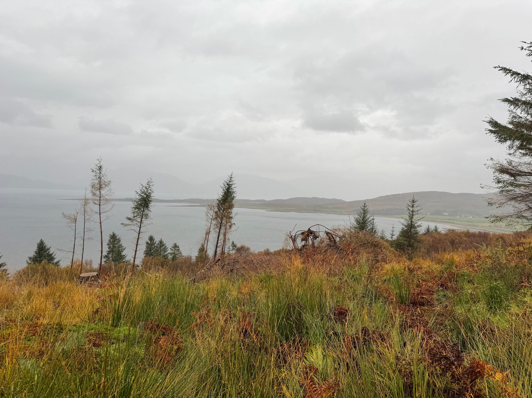Highland Titles Nature Reserve-Duror必去景点