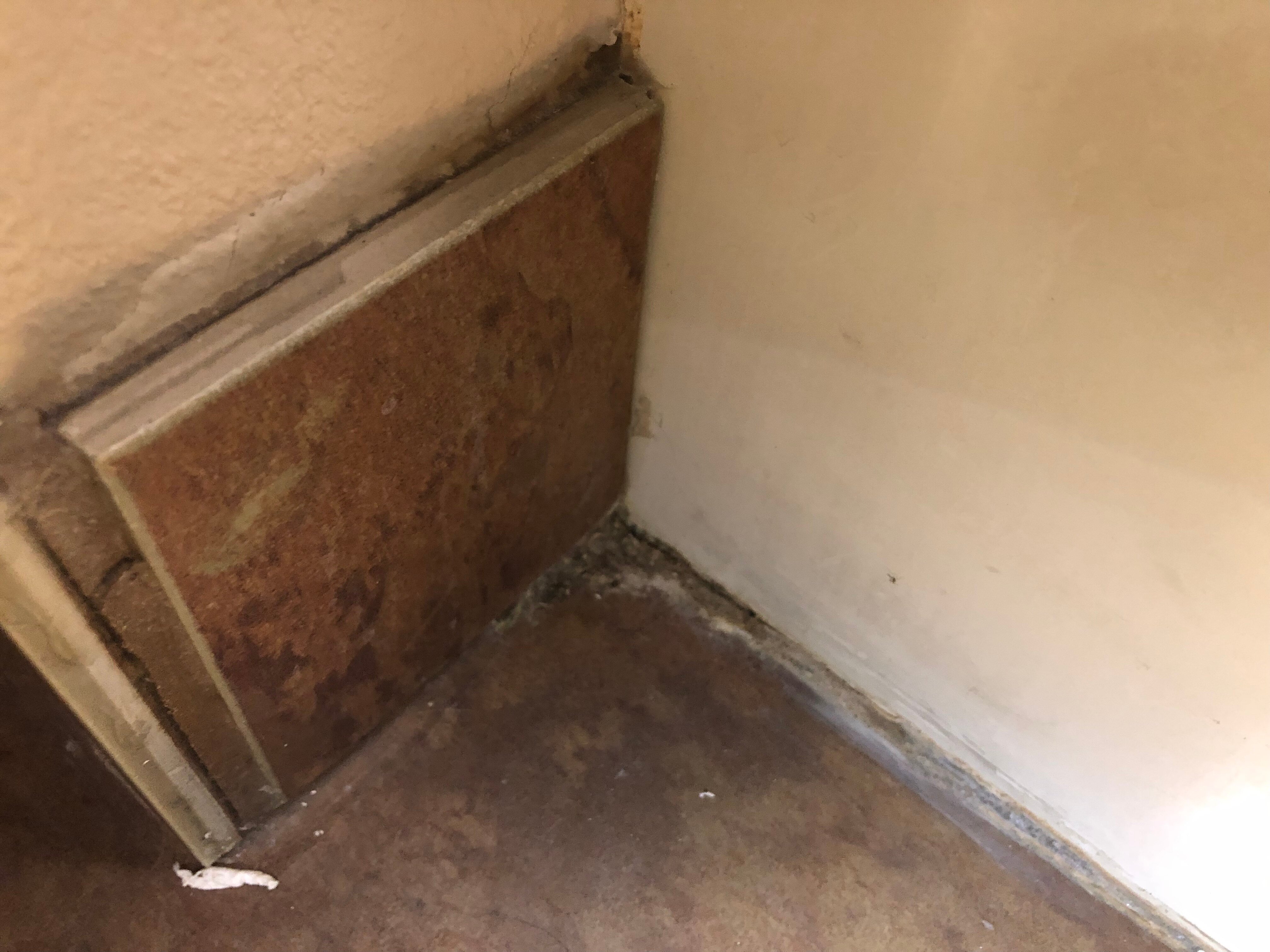 Holiday Inn Express & Suites Kingman by IHG-浴室