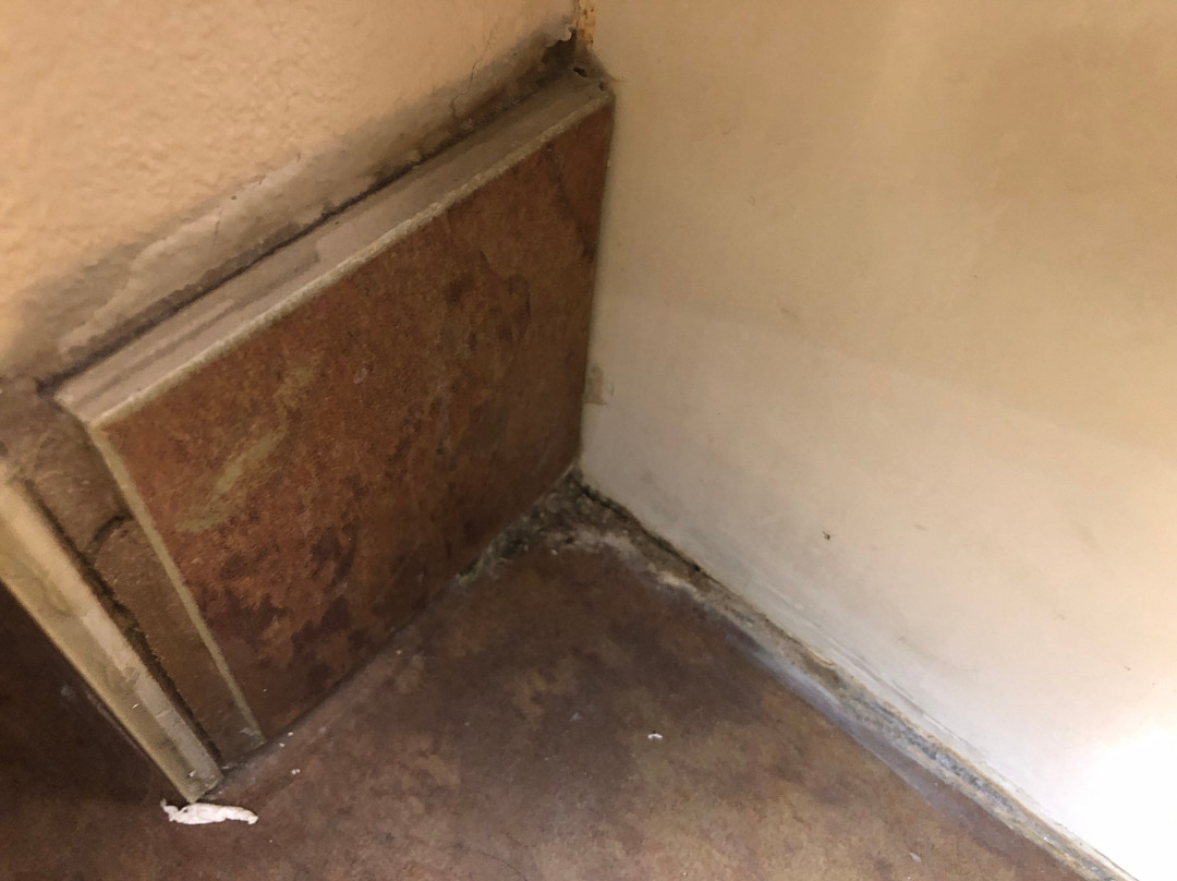 Holiday Inn Express & Suites Kingman by IHG主图