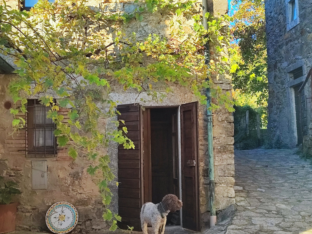 科伦贝拉住宿加早餐旅馆主图