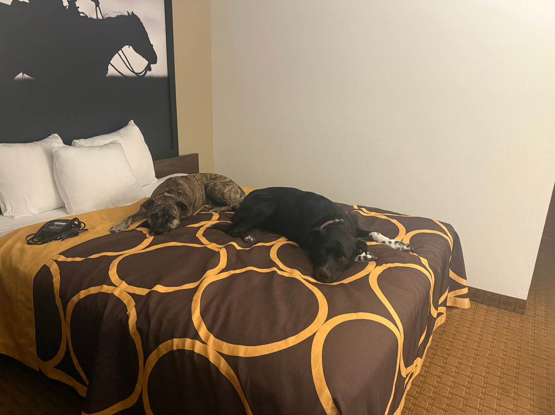 科迪速8酒店主图