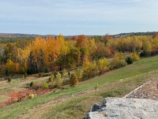 Sokokis Lookout-Limerick必去景点