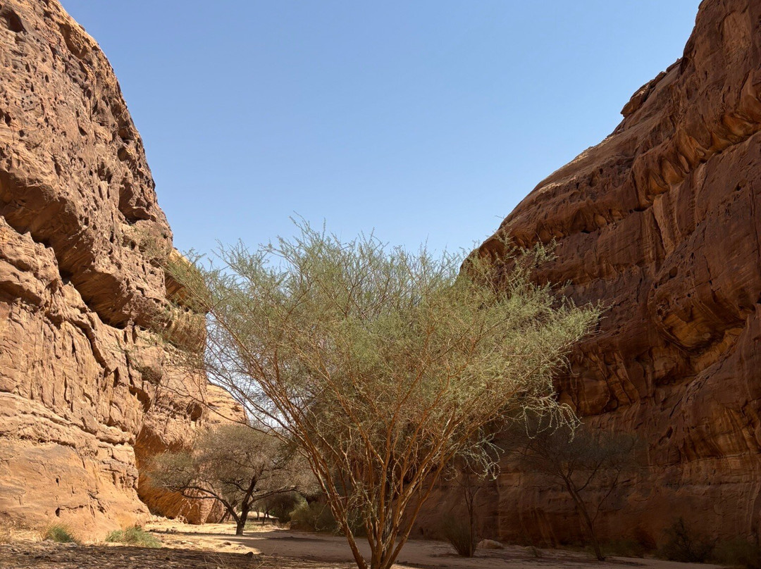 Husaak Adventures-AlUla必去景点