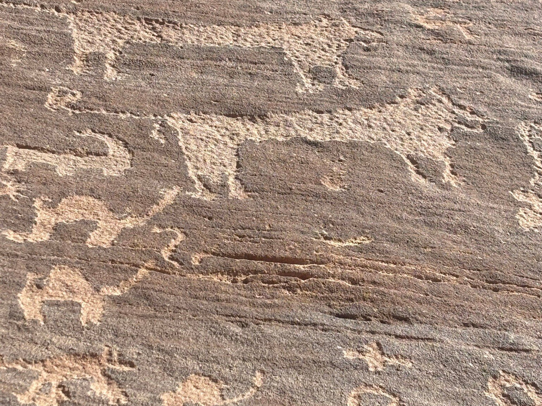 Husaak Adventures-AlUla必去景点