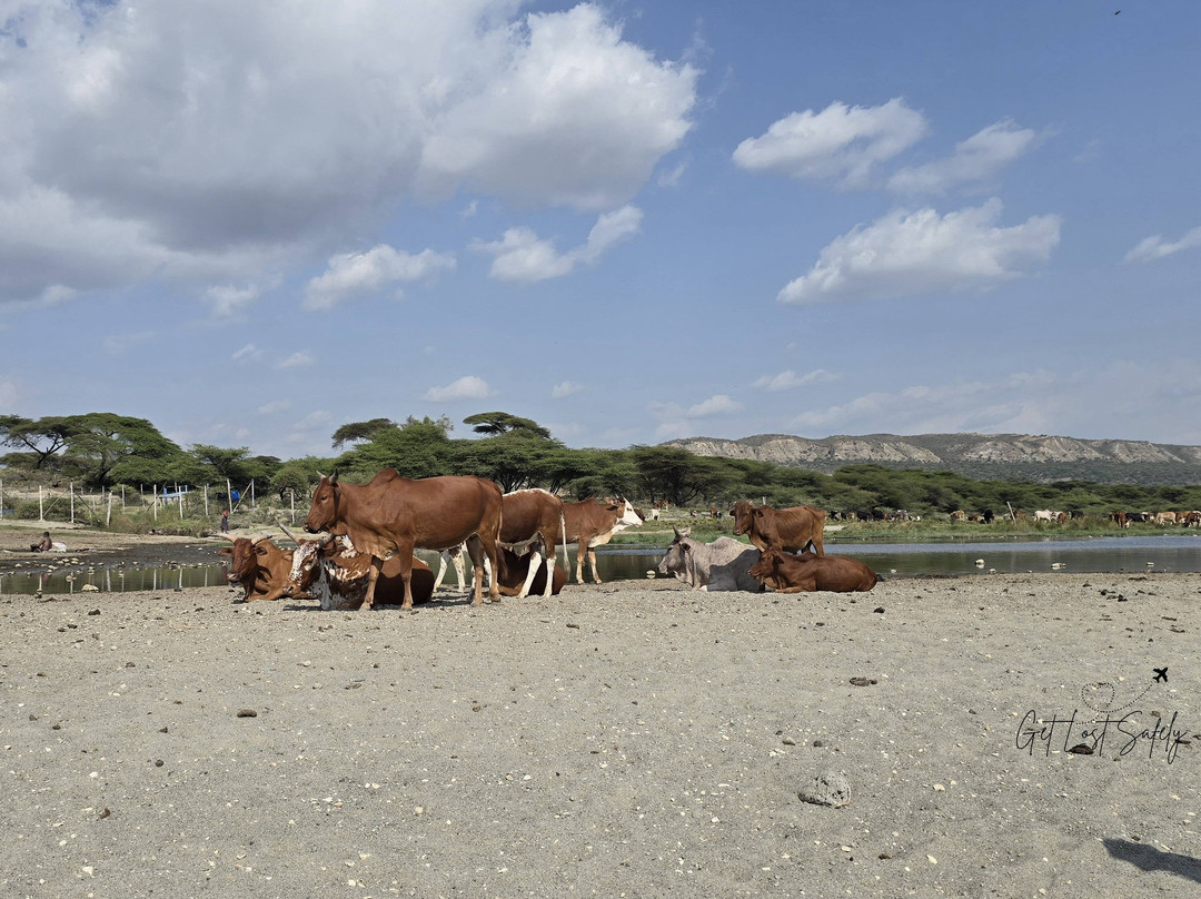 Abijata Shalla Lakes National Park