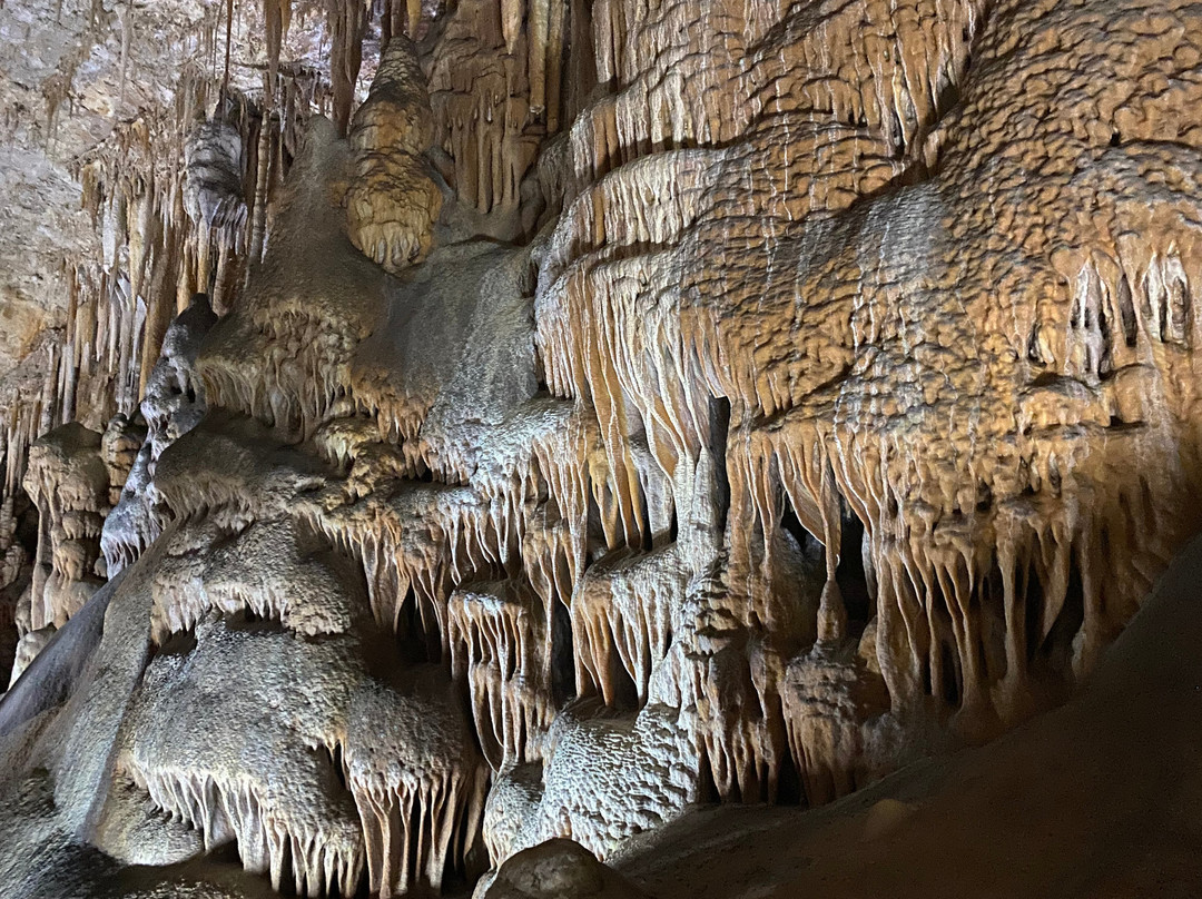 Evasion Authentic-马洛卡帕尔马必去景点