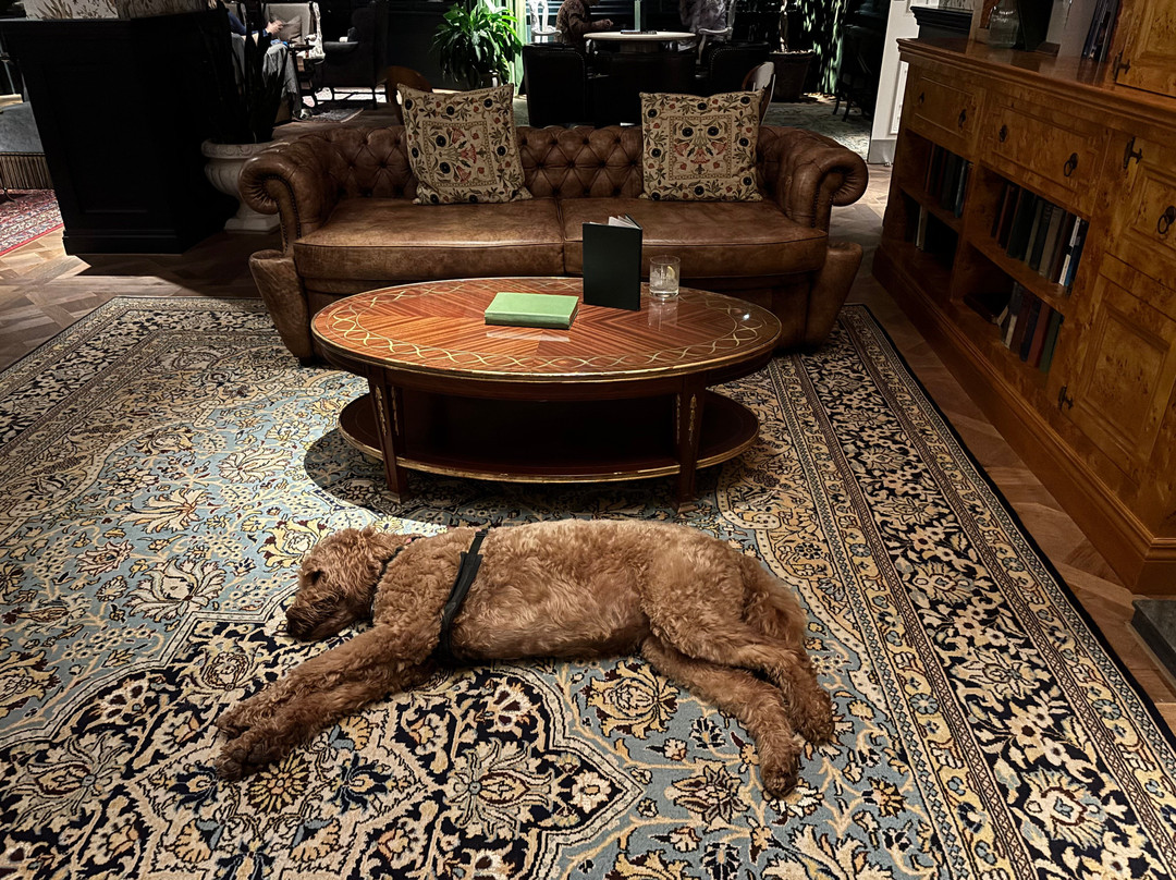 麦克唐纳德航海酒店&SPA主图