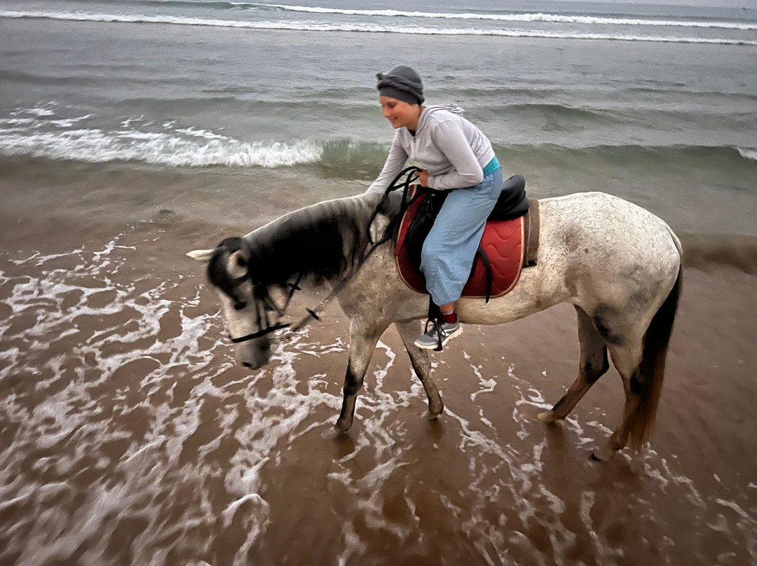 Arda Horses-奥瑞尔必去景点