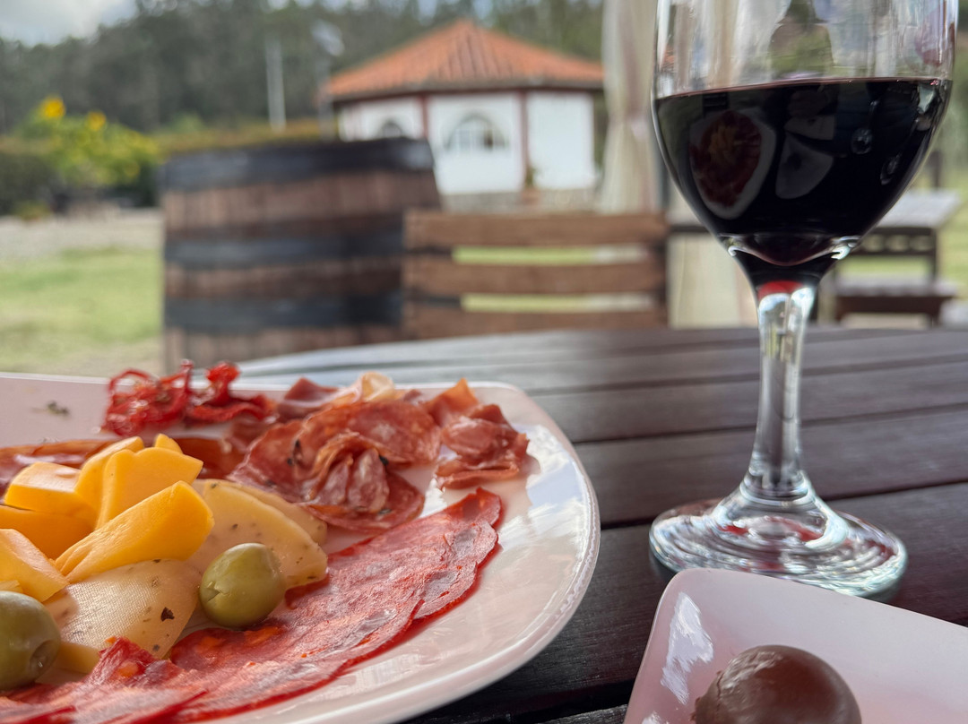 Vinedo Umana Dajud-莱瓦镇必去景点