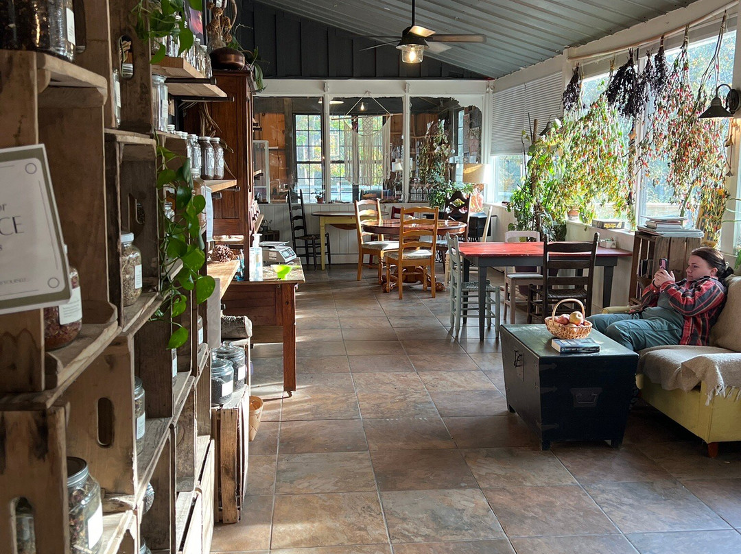 The Folk Collaborative-McCaysville必去景点