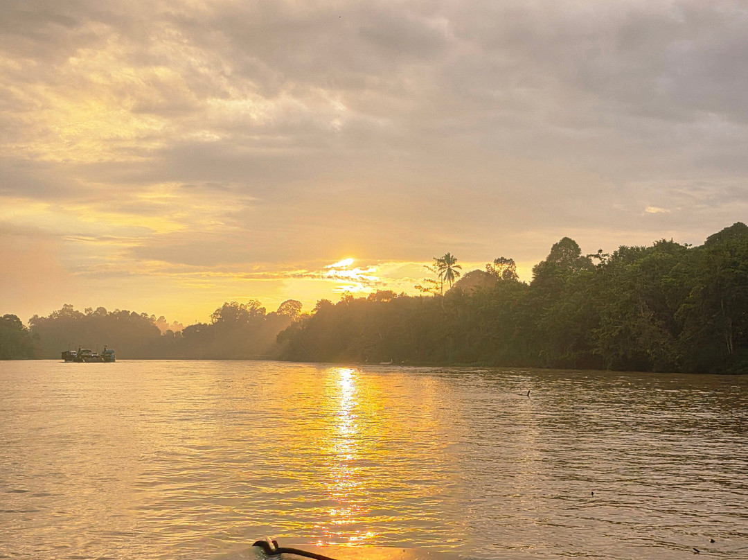 Borneo Eco Tours-亚庇必去景点