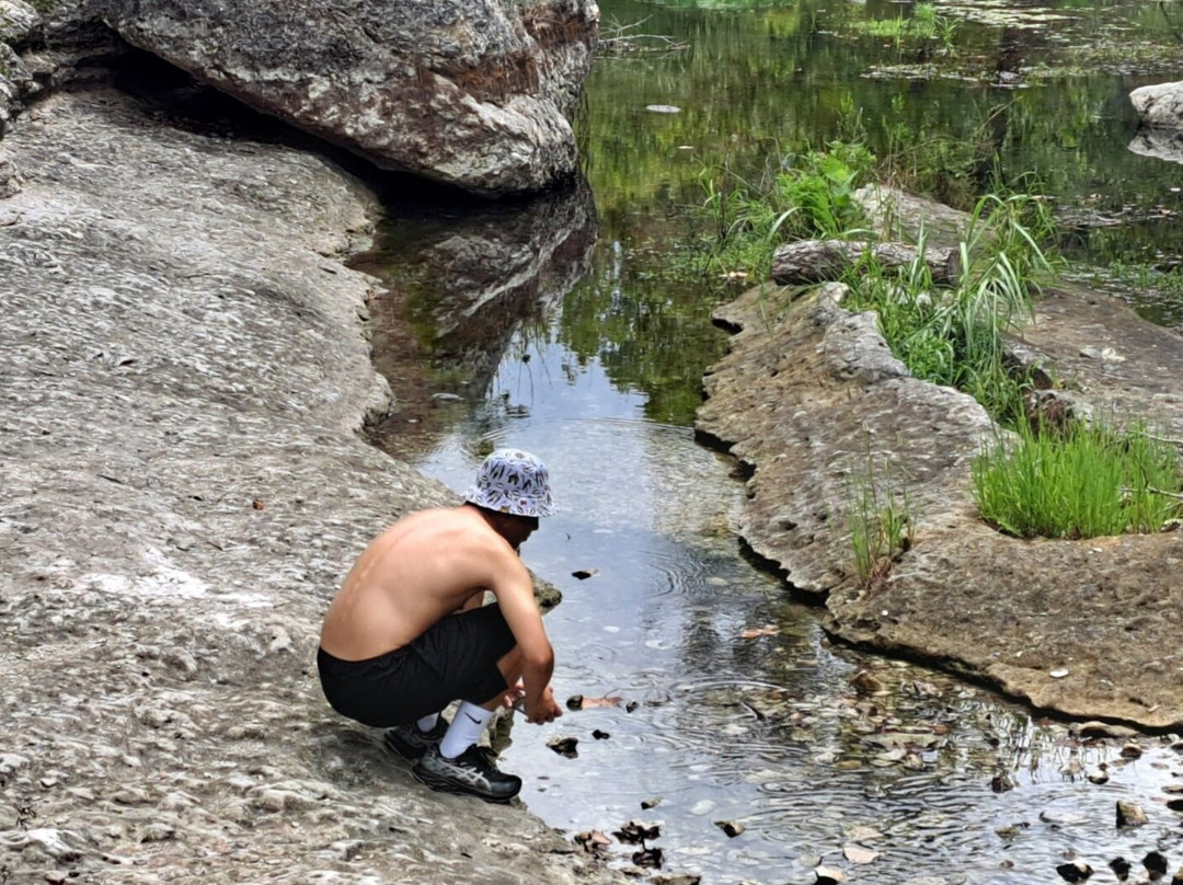 Jacob's Well Natural Area-Wimberley必去景点