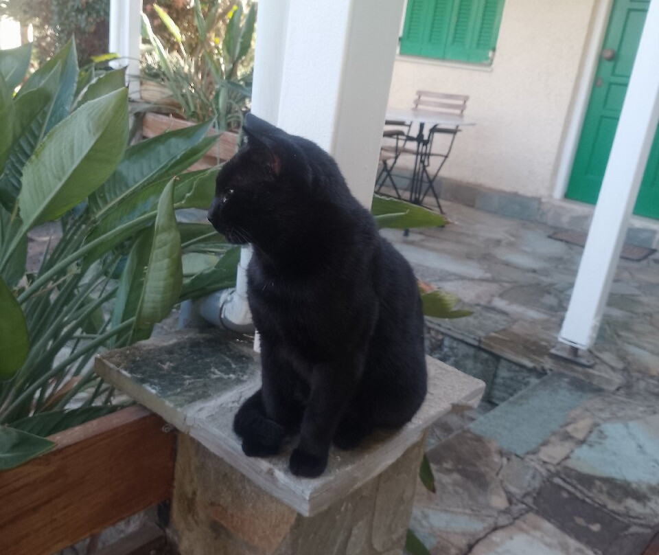 Philippos Hotel Apartments主图