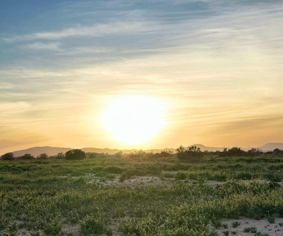 Moroccan Activities & Desert Safaris-卡萨布兰卡必去景点