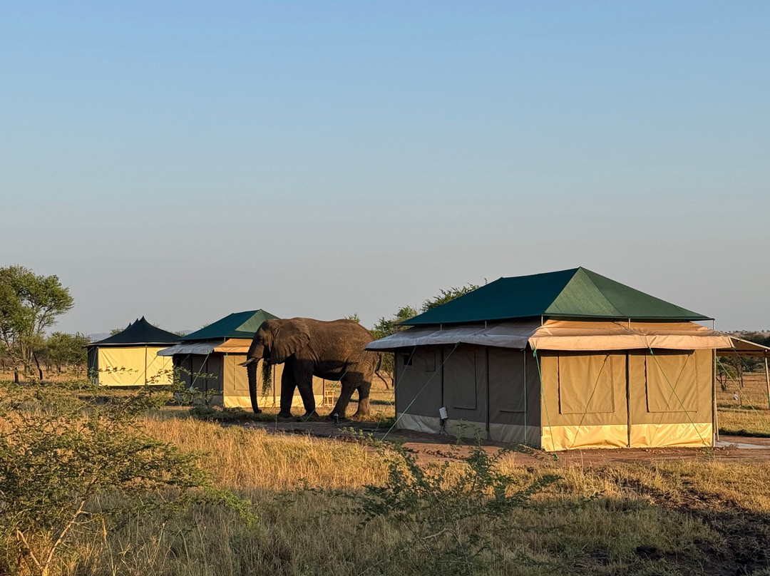 OSOTUA TENTED CAMPS-Ikoma必去景点