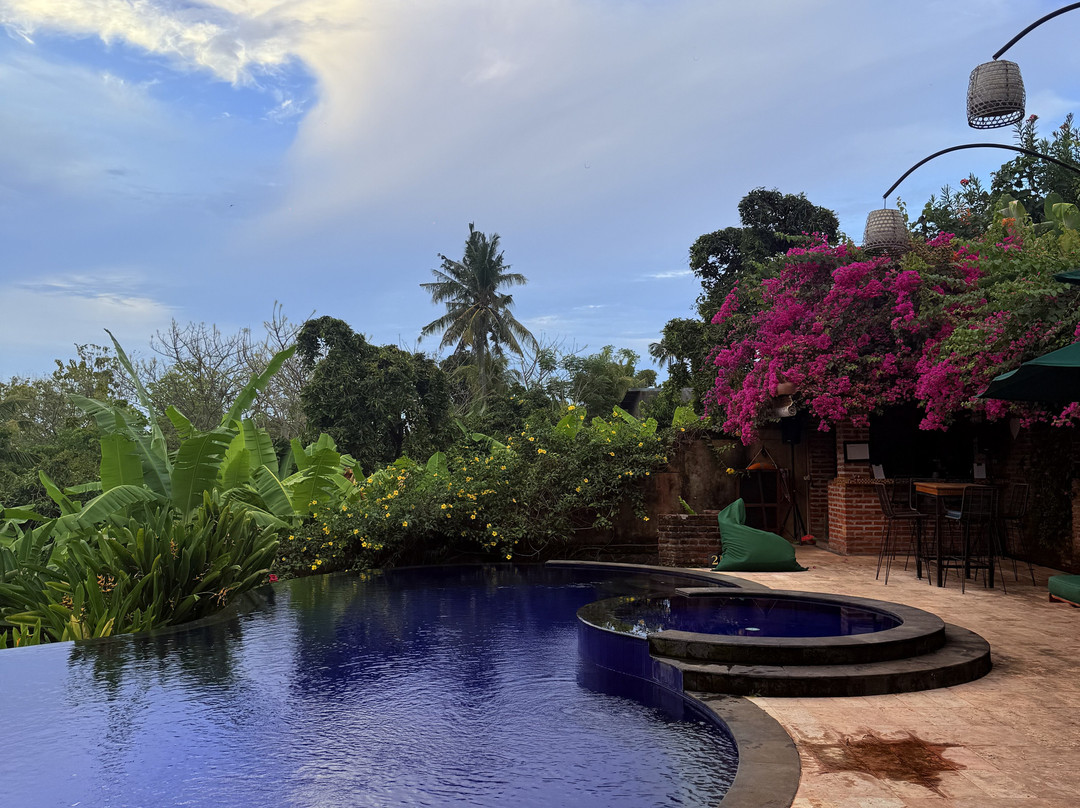 Alamanda Lovina Resort | Yoga Retreat Bali主图