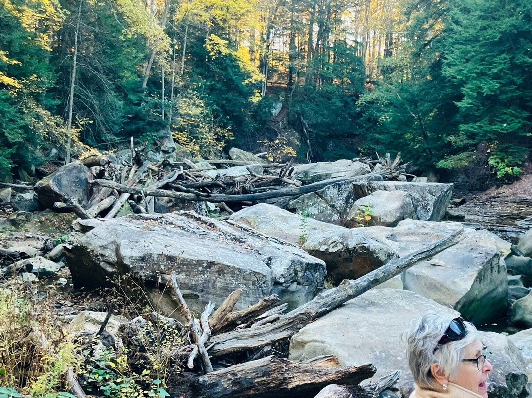 Chippewa Creek Gorge Overlook-Brecksville必去景点
