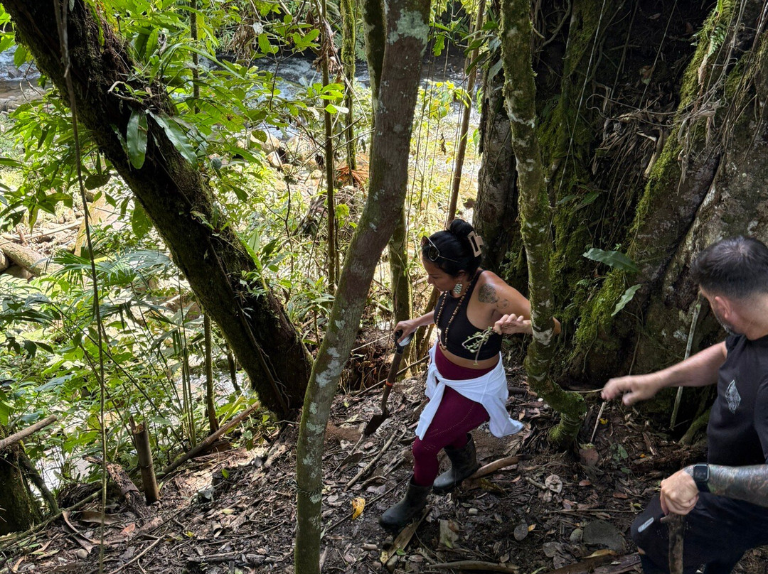 Gavilana Permaculture-El Castillo必去景点