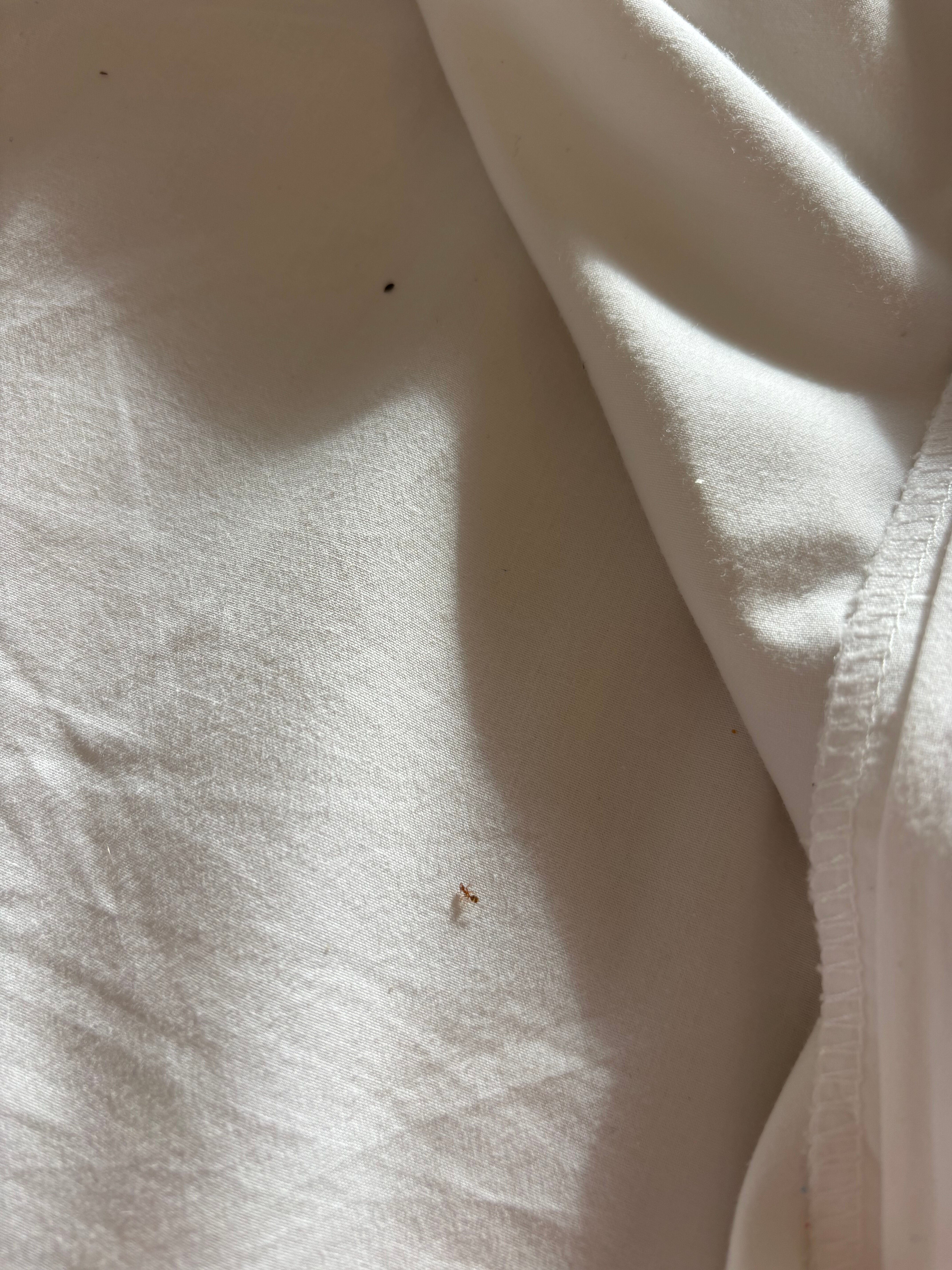 因特尔图尔伊维萨迈阿密酒店-官方