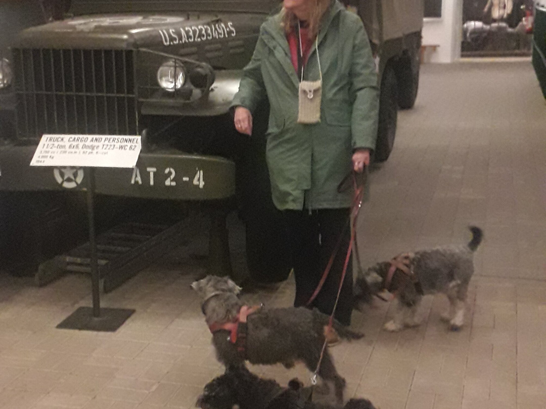 MNHM National Museum of Military History-Diekirch必去景点