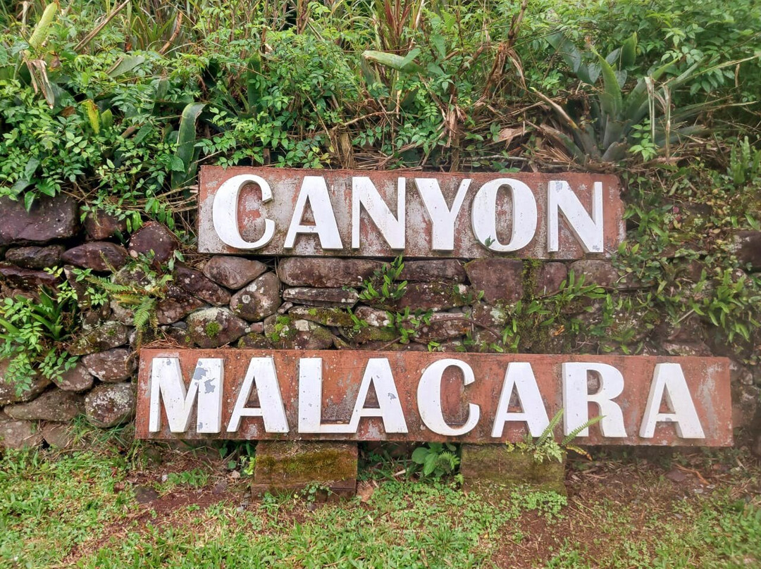 Aparados da Serra Tours