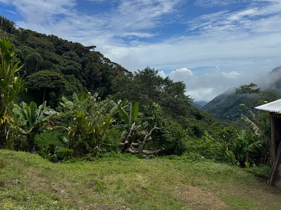 South Sea Horizons-Kokopo必去景点