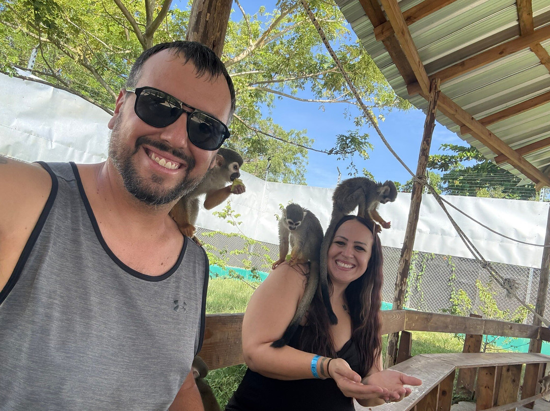 Monkey Home Puerto Plata-普拉塔港必去景点