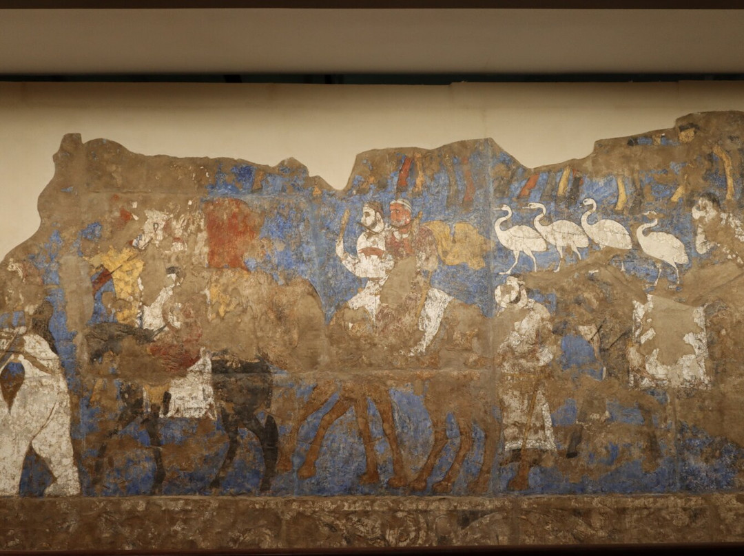 Afrasiyab Museum-撒马尔罕必去景点