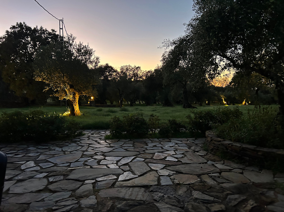 Finca El Azahar主图