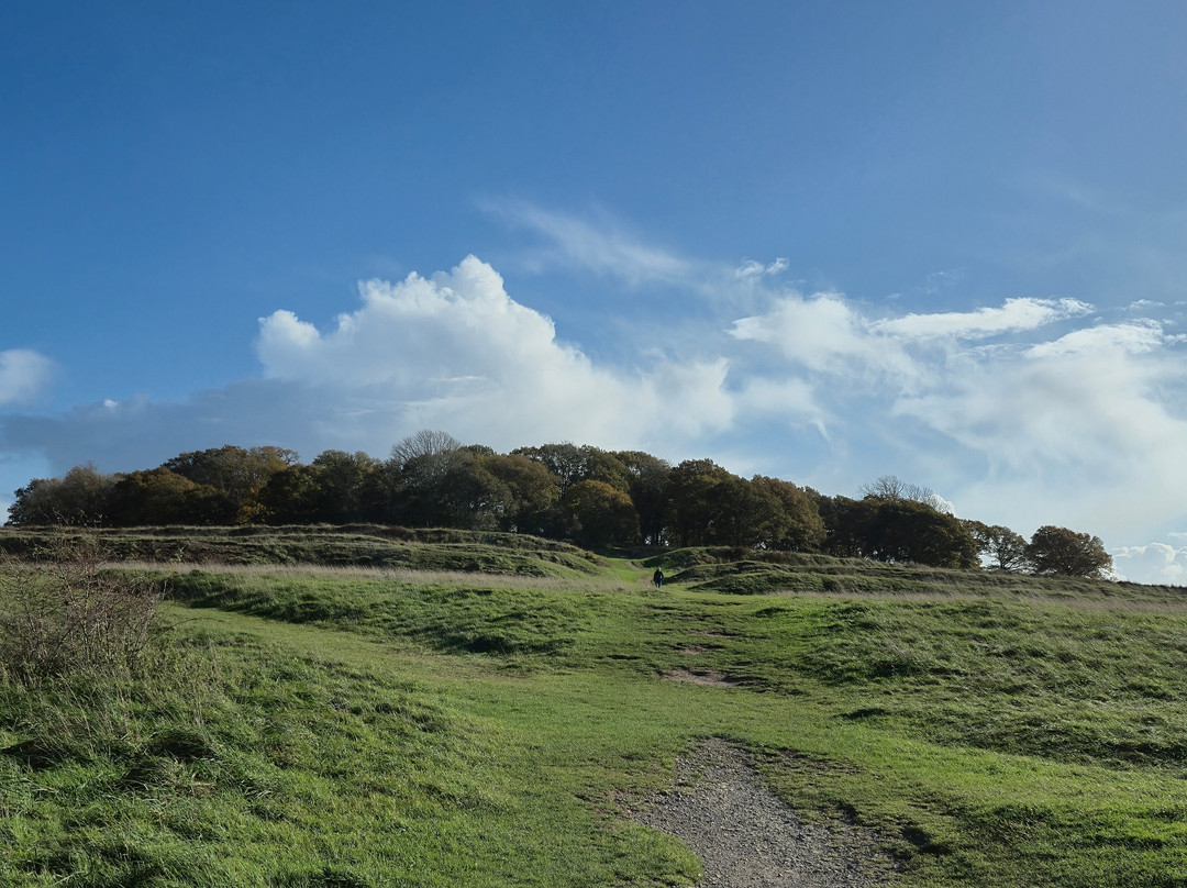 Badbury Rings-Wimborne Minster必去景点