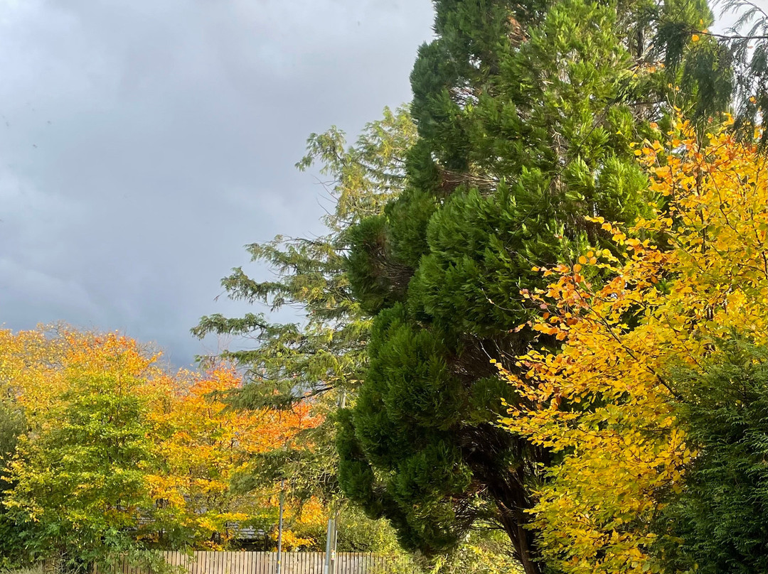 Ouse Bridge House主图