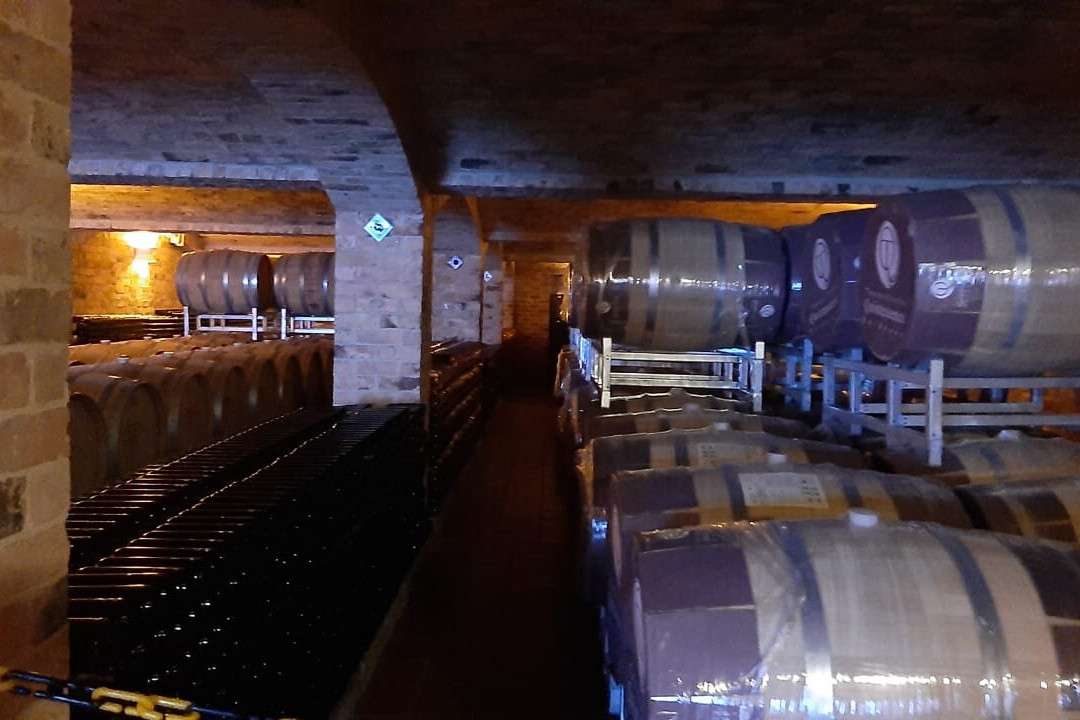 Viñedo Ain Karim-莱瓦镇必去景点