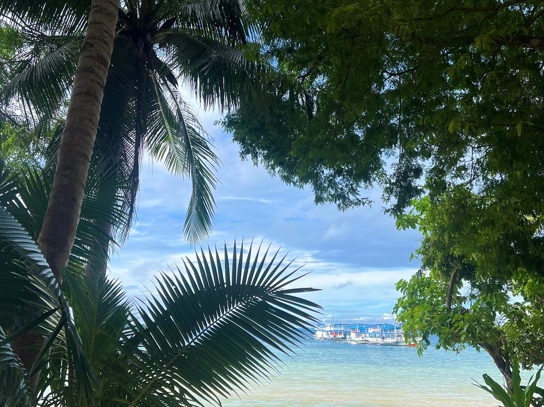 Big Dream Boatman-科隆必去景点