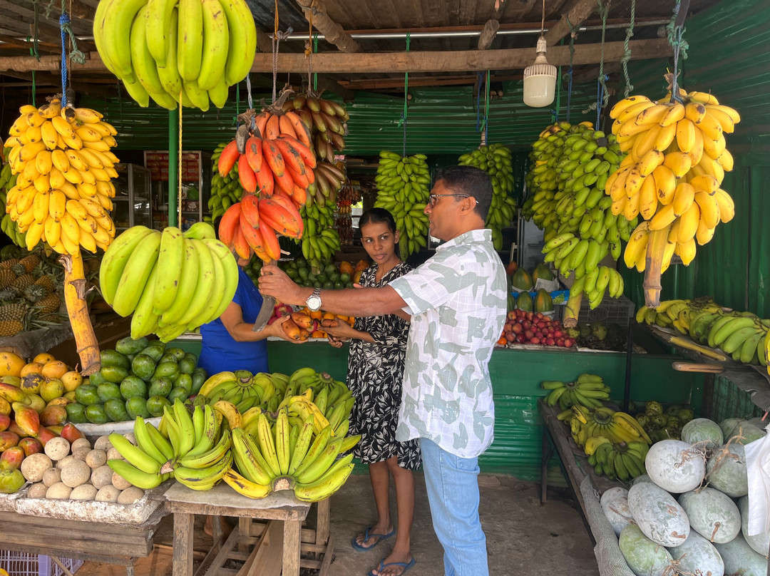 Tangalle Local Experience tours-唐卡拉必去景点