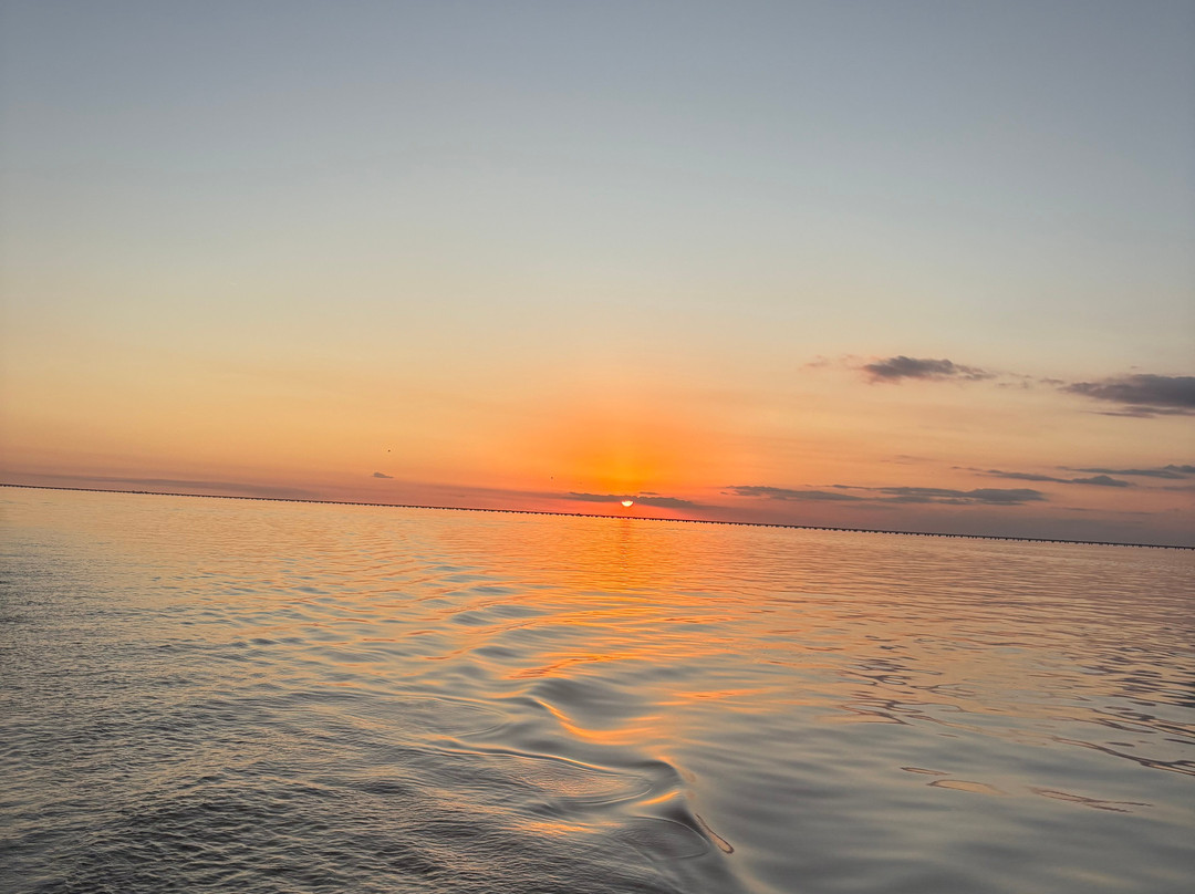 Delaune Sailing Charters-Mandeville必去景点