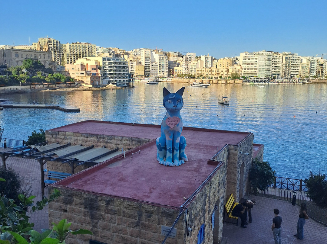 Cat Statue-斯利马必去景点