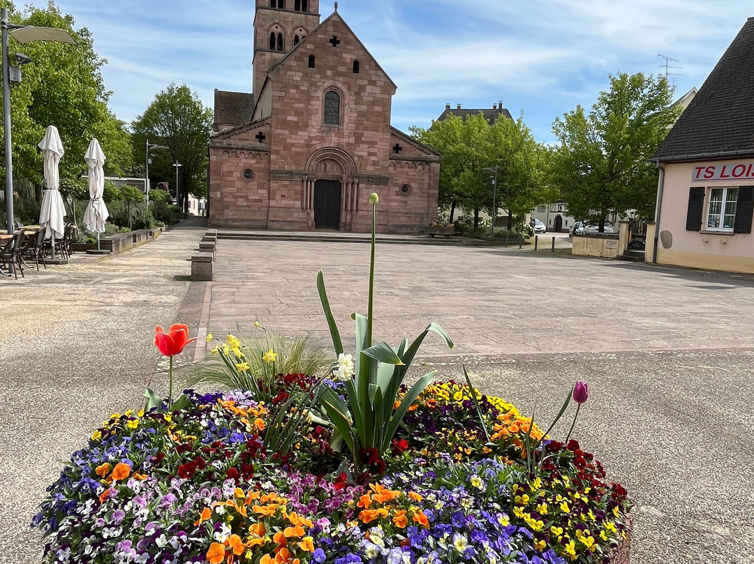 Eglise Saint-Pierre et Saint-Paul-Sigolsheim必去景点