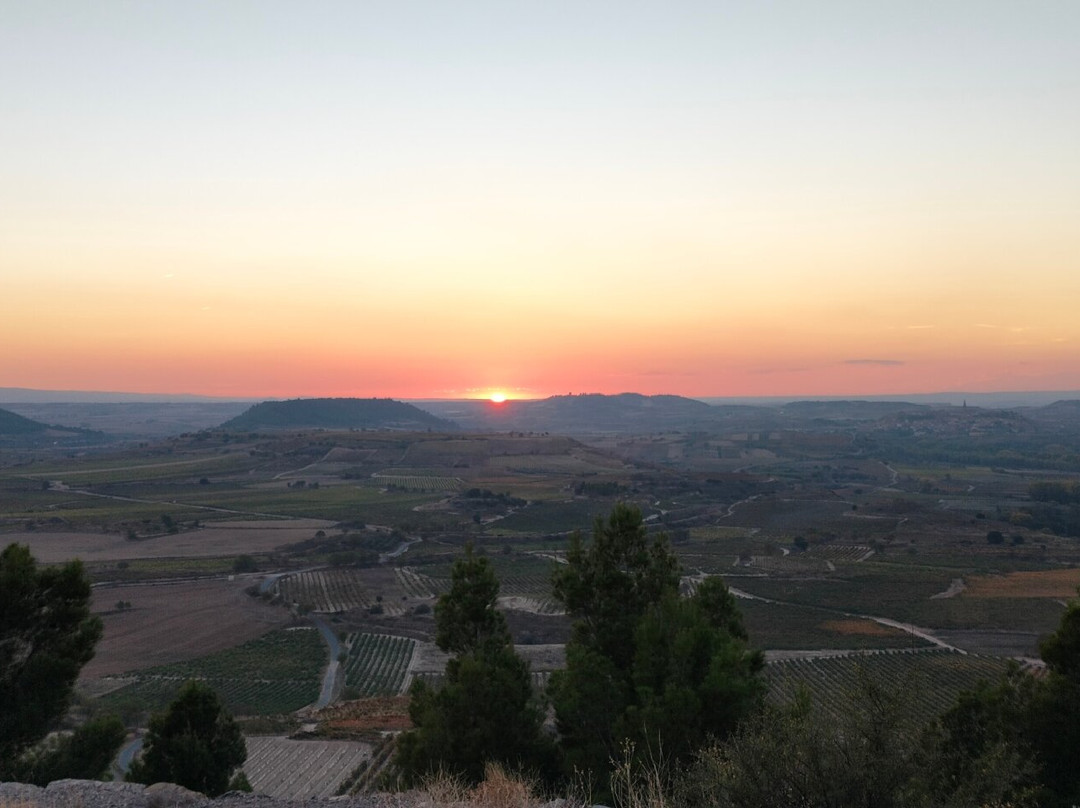 Bodegas Lecea-San Asensio必去景点