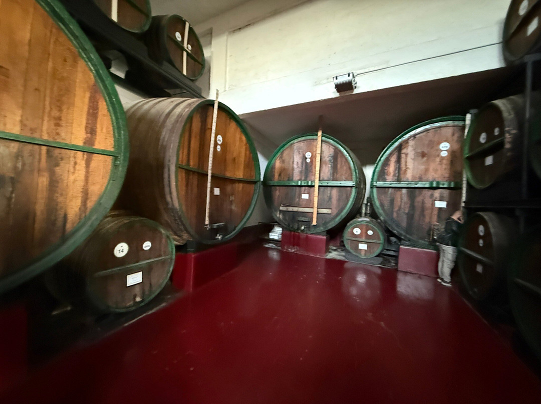 CANTINA MARTINEZ dal 1866-马尔萨拉必去景点