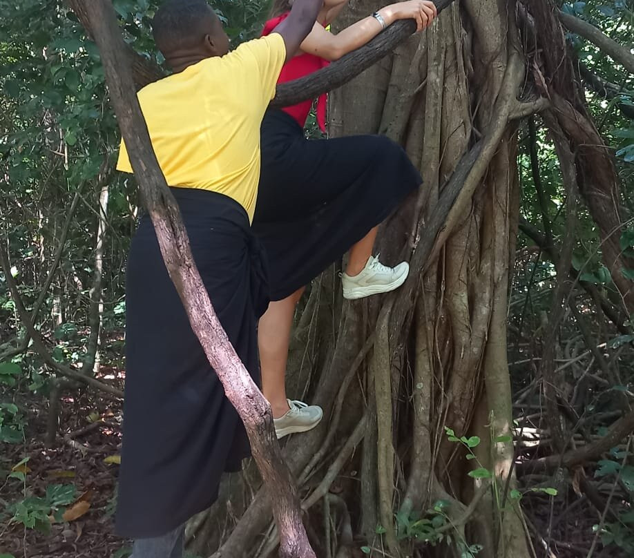 Kaya Kinondo Sacred Forest-迪亚尼必去景点