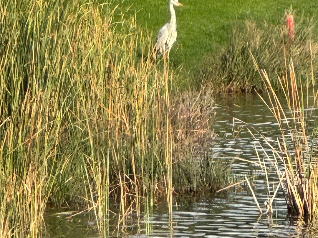 Sueno Golf Club-贝莱克必去景点