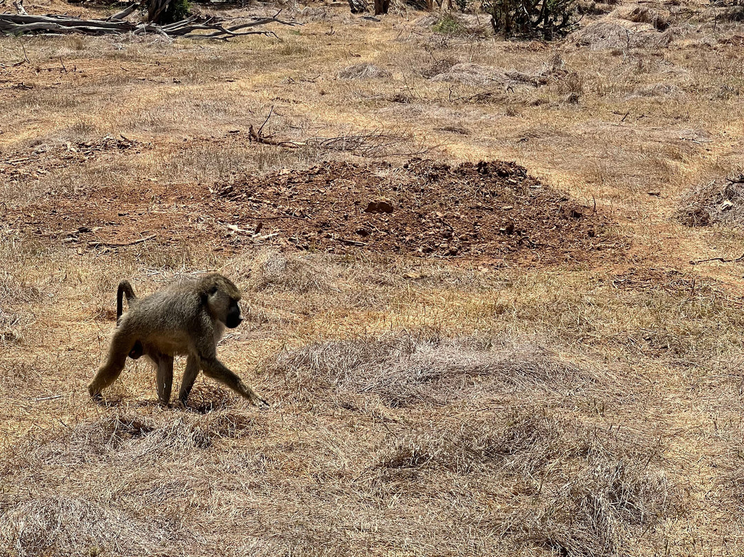 Around Holiday Adventure-查佛必去景点