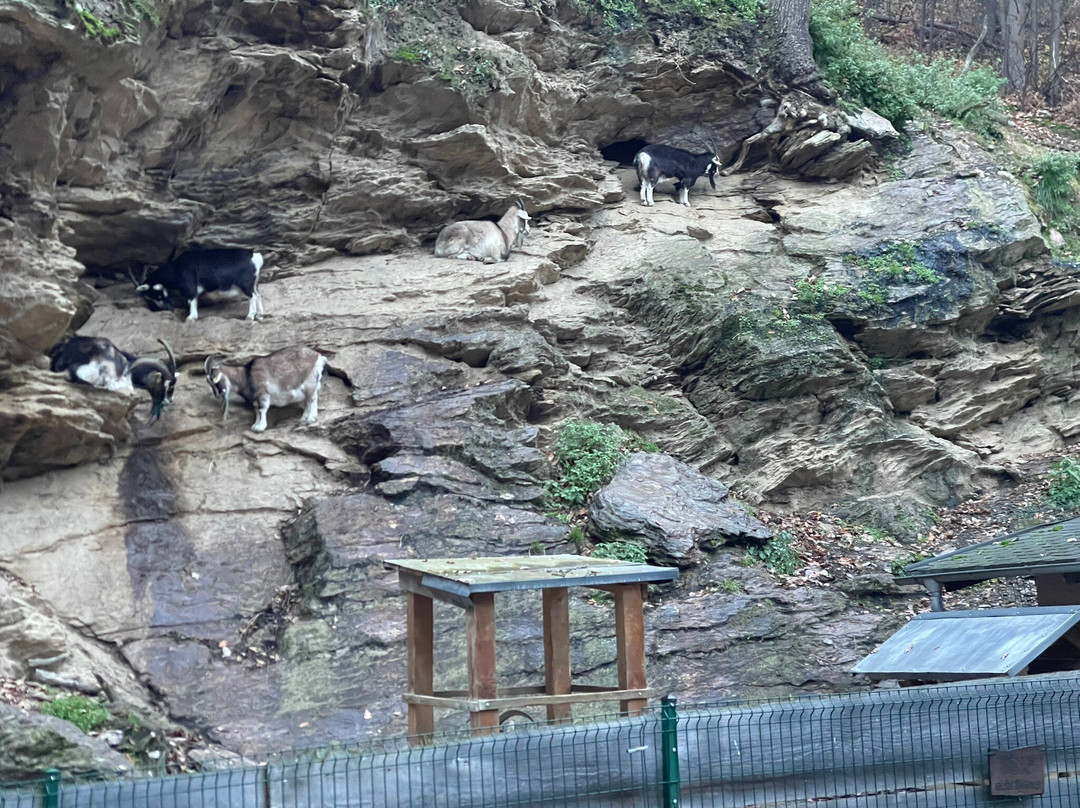 Land-gut-Hotel Waldgasthof Zur Margarethenmühle主图