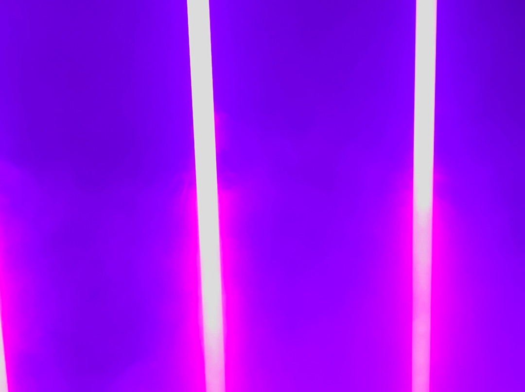 Moir - The Museum Of Infinite Realities-布鲁塞尔必去景点